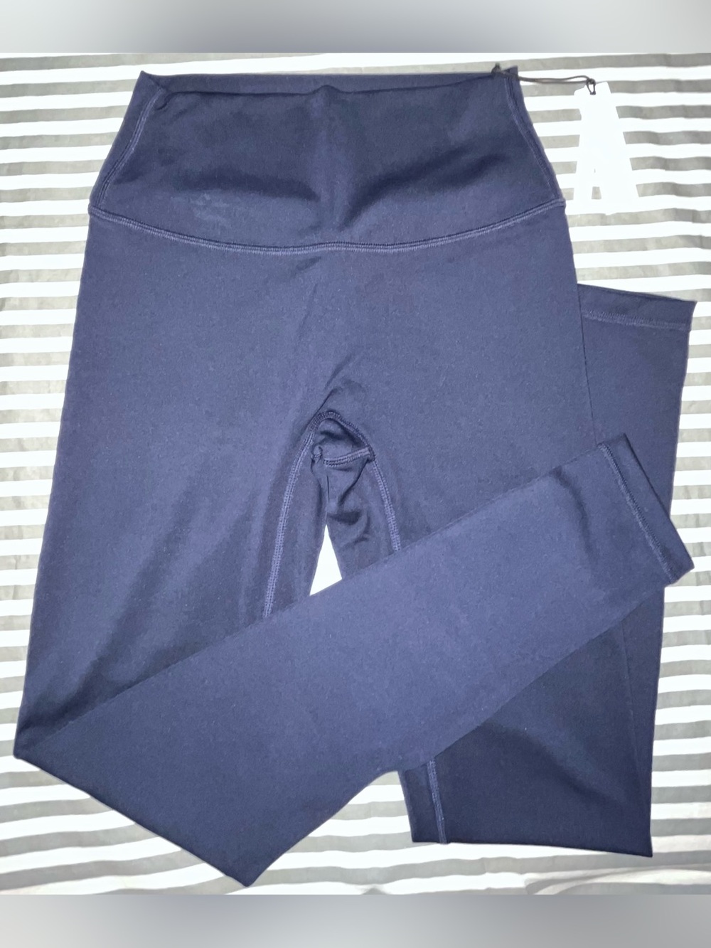 Paragon Fitwear Reluna Sculptseam Plus Legging in Ink Size M